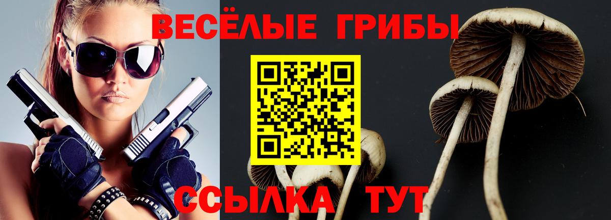 Галлюциногенные грибы мухоморы Нефтекамск